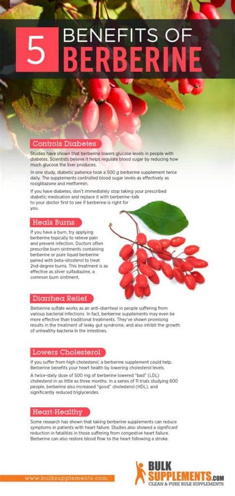 Berberine Benefits, Supplement Dosage and Side .